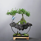Garden in the Air – Decorative Hanging Planter