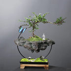 Garden in the Air – Decorative Hanging Planter